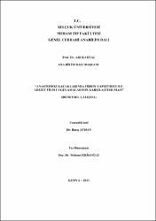 Küçük Resim