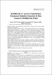 Küçük Resim