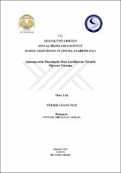 Küçük Resim