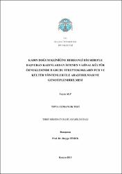 Küçük Resim