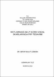 Küçük Resim