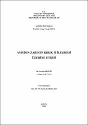 Küçük Resim