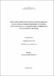 Küçük Resim