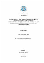 Küçük Resim