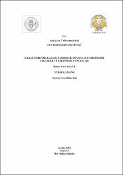 Küçük Resim
