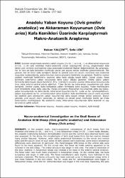 Küçük Resim