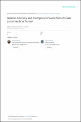 Küçük Resim