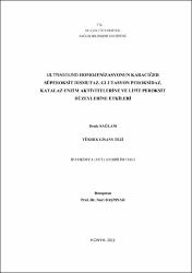 Küçük Resim