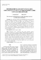 Küçük Resim
