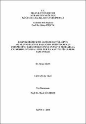 Küçük Resim