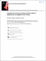 Küçük Resim
