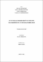 Küçük Resim