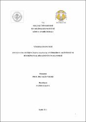 Küçük Resim