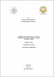 Küçük Resim