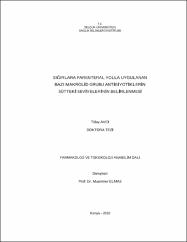 Küçük Resim