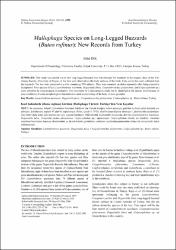 Küçük Resim
