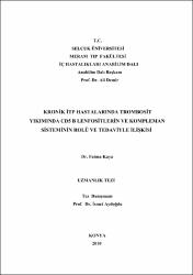 Küçük Resim