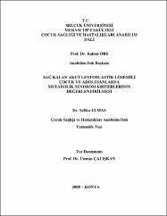 Küçük Resim