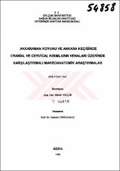 Küçük Resim