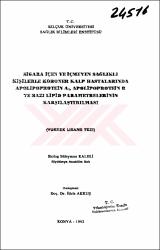 Küçük Resim