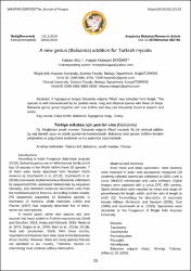 Küçük Resim