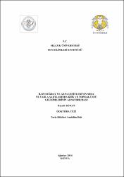 Küçük Resim